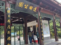 -莲湖公园