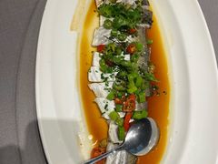 椒麻白丝鱼-润苑(徐汇店)