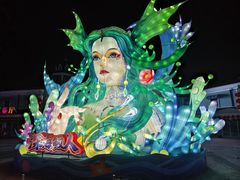 -海合安成都极地海洋公园