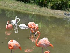 -杭州野生动物世界