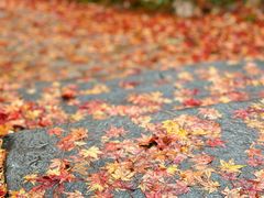 -崂山九水游览区