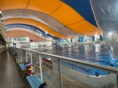 -奥龙堡游泳馆(广纸店)