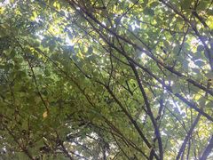 -江苏科技大学(梦溪校区)