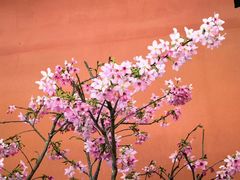 -乌山风景区