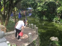 -人民公园(罗湖区)