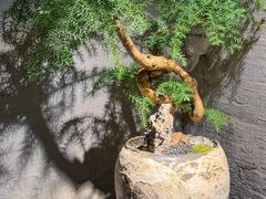 -大良毋米粥 · 粥底火锅(岭南天地店)