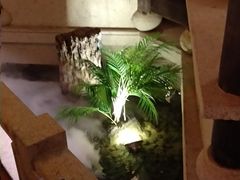 -佬麻雀·新湘菜(珠海金发购物中心店)