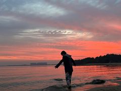 -瑶湖郊野森林公园