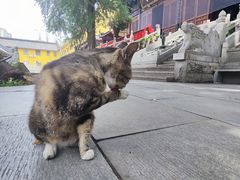 -宝通禅寺