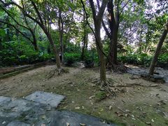 -广州市白云山风景名胜区