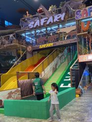 -卡通尼·Safari非洲探索乐园·生日会(金桥国际商业广场店)