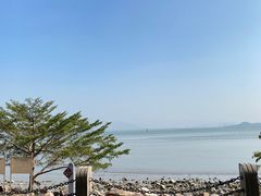 -深圳湾公园(南山区)