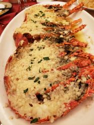 -新城花园酒店·宴会厅