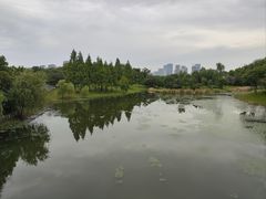 -贡湖湾湿地公园
