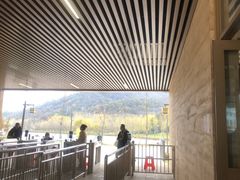 -千年银杏谷文化旅游区