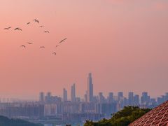 -牛首山文化旅游区