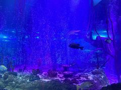 -沈阳海洋探索中心