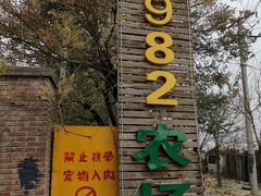 -1982农场