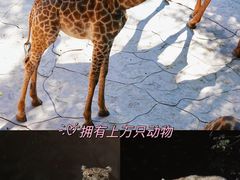-长鹿旅游休博园