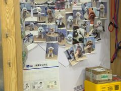 -宠颐生宠物医院·异宠猫科内科·诊疗中心宠巢店