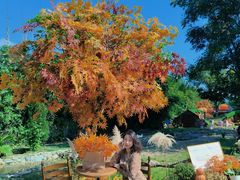 -HERRE·FARM 赫尔露营农场·团建聚会包场