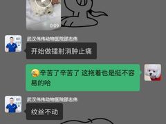 -伟伟宠物医院·CT影像中心·瑞派犬猫综合性门诊(汉口总院)