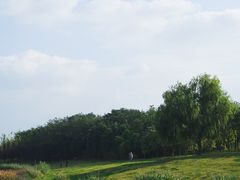 -两河城市森林公园