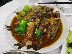 昂刺鱼-溱湖八鲜菜馆