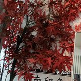 郑州二七万达最低调的理发店探探