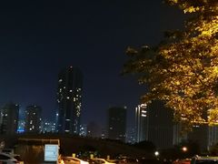 -万绿园