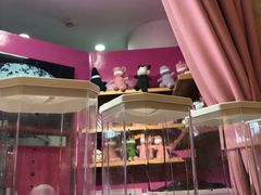 -亲爱的锅包YOU(国金街店)