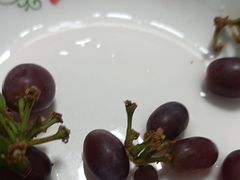 -江汉区姑嫂树菜市场