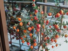 -点都德(广州白云山景区南门店)