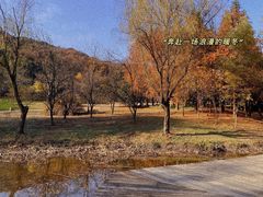 -宝界山林公园