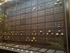 -北京周口店北京人遗址博物馆