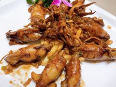 -宝园酒家(美林M·LIVE天地东座店)