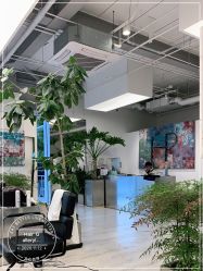 -Hair  Gallery
