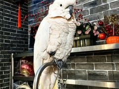 -四海楼(如皋定慧禅寺店)