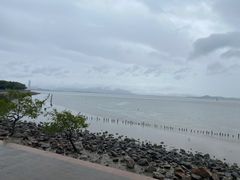 -深圳湾公园(南山区)