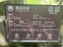 -都江堰中华大熊猫苑