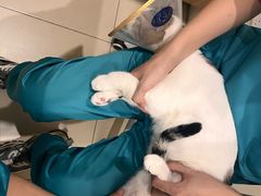 -美迦爱-牙专科·兔科·骨科诊疗中心(北苑店)