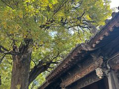 -胡氏古民居建筑