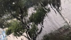 -MOZZ木子造型