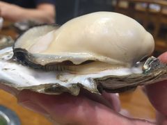 -蚝得喜海鲜(东城店)