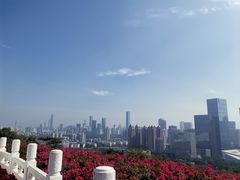 -莲花山公园