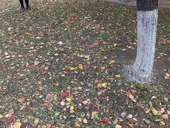 android_upload_pic-辽宁大学(崇山校区)