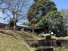 -凤阁楼果木烧鹅(鹤山陈山店)