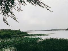 -丁香湖公园