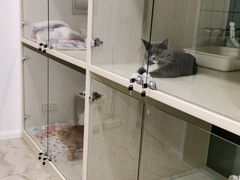 -Pets First伊珊娜洗护·精致美容·家庭式寄养(新会路店)