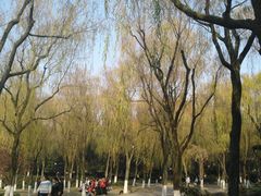 -柳浪闻莺公园